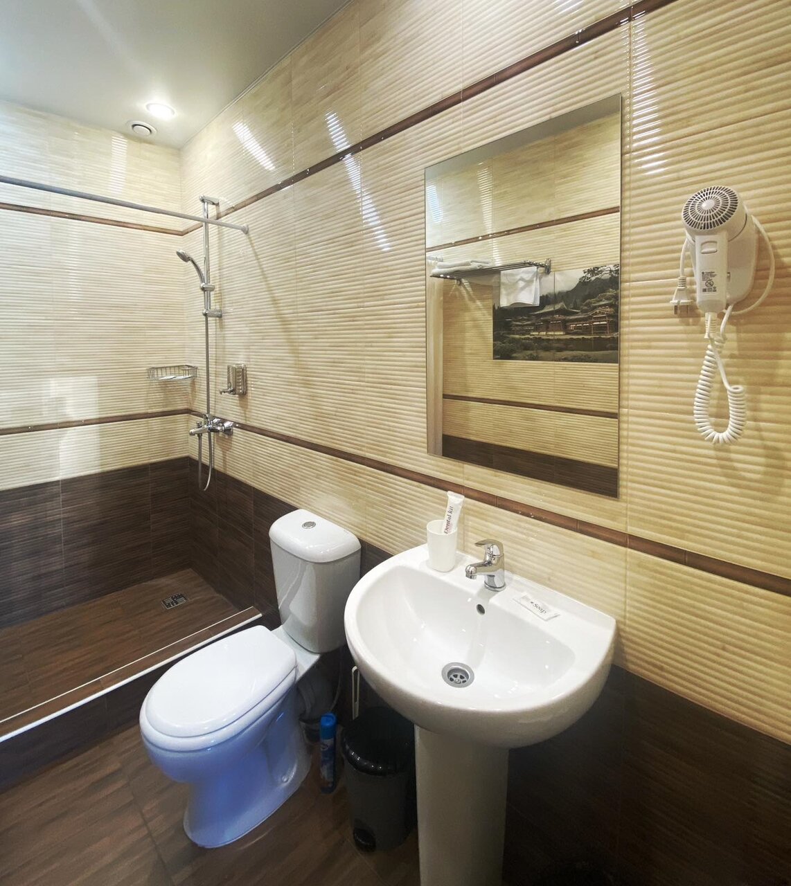 Отель Золотой Шар Тольятти-27